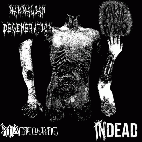 Puta Malaria : Mammalian Degeneration - Sangue Putrido - Puta Malaria - Indead